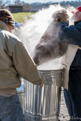 Steaming Oysters