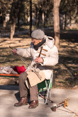 Playing the Erhu