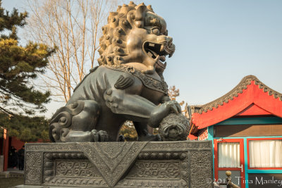 Lion at Summer Palace