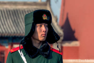 Forbidden City Guard, Crop