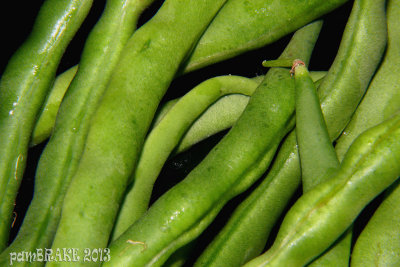 Beans!  I grew these!