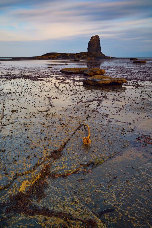 Black Nab, Saltwick Bay.