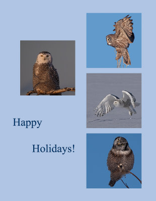 CRISTMAS-CARD-2013-copy.jpg