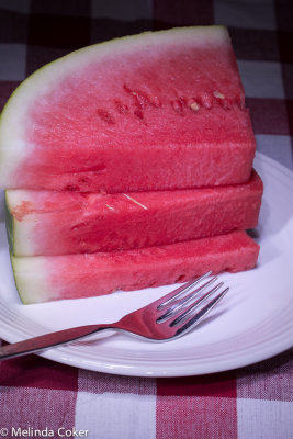 Watermelon Penlight-0037.jpg