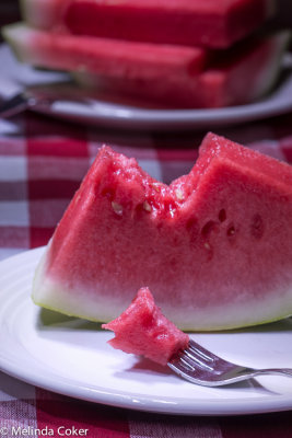 Watermelon Penlight-0040.jpg