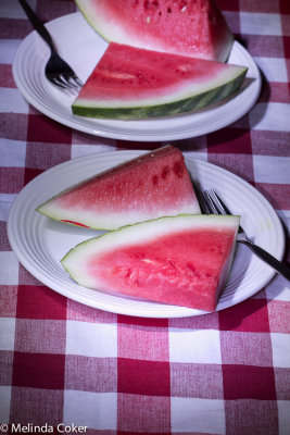 Watermelon Penlight-0035.jpg