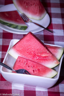 Watermelon Penlight-0036.jpg