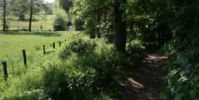 Naturbilder