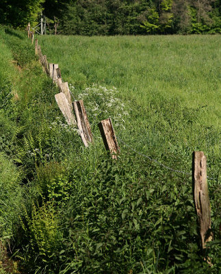 Feld & Wald