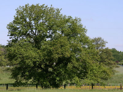 Feld & Wald