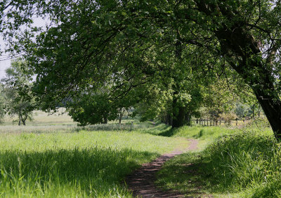 Feld & Wald