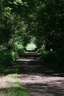 Feld & Wald
