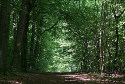 Feld & Wald