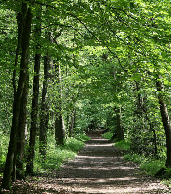 Naturbilder