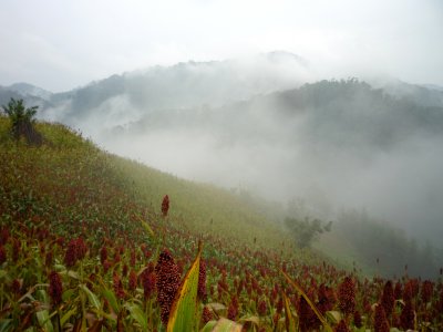 P1020252.JPG