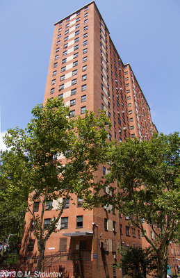 Lower Harlem  Public Housing