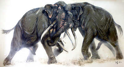 6th International Conference on Mammoths and their Relatives