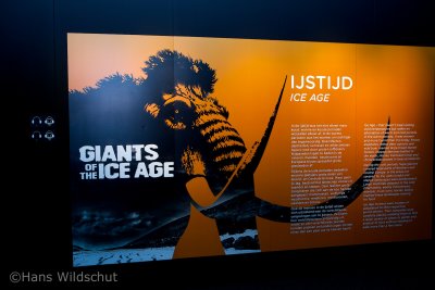 Giants of the Ice Age in Amsterdam Expo