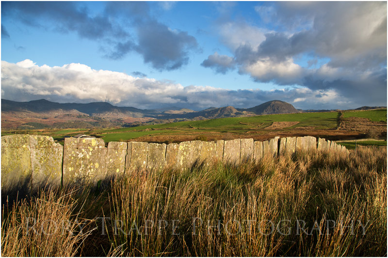 View towards Manod Mawr