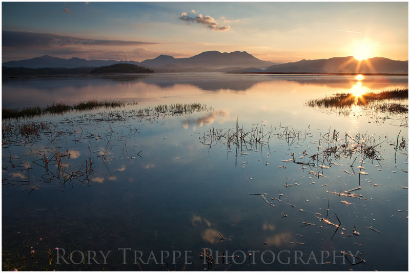 ynys incoming tide-web.jpg