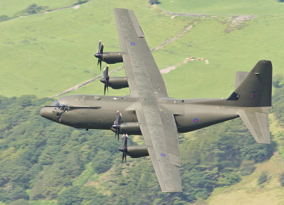 corris herc.jpg