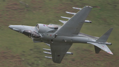 Harrier - October 2007