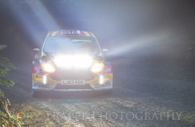 WRC - WALES 2014