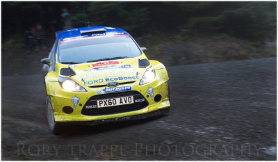 WRC - WALES 2014