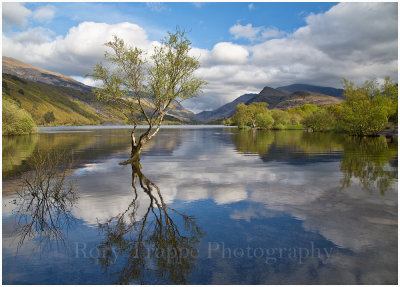 Llyn Padarn