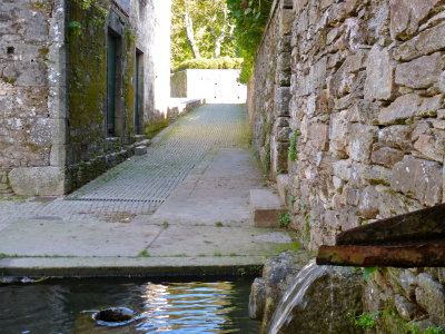 P1020006.JPG