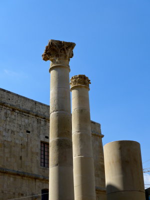 P1000617.jpg