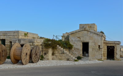 P1000669.JPG