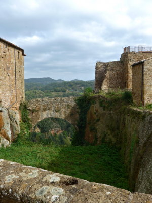 P1010389.jpg