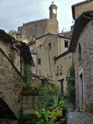 P1010360.jpg