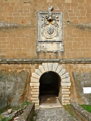 P1010387.jpg