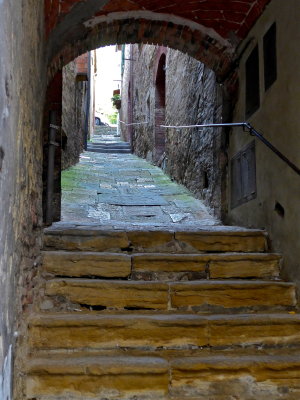 P1010412.jpg