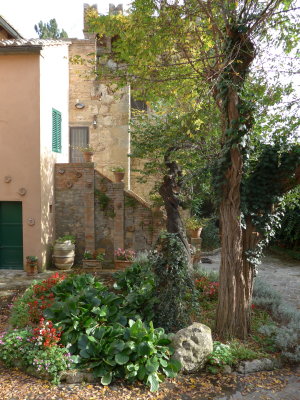 P1010430.jpg