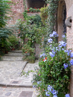 P1010201.jpg