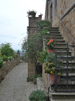 P1010197.jpg
