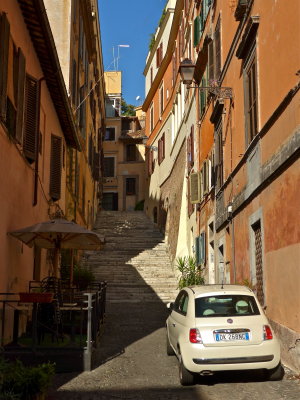 Monti 