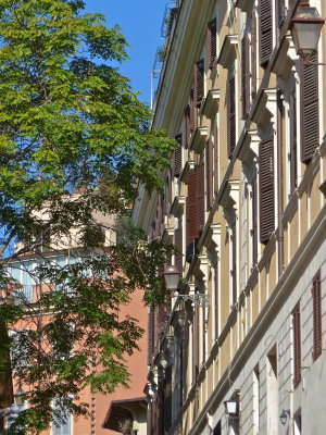 P1010730.jpg