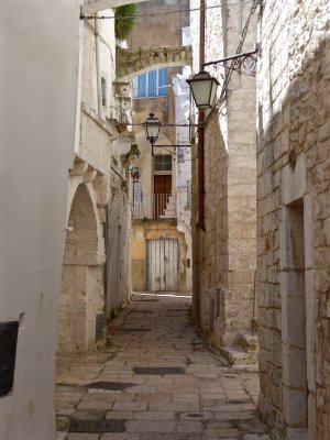 P1020416.jpg