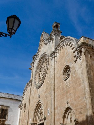 P1020146.jpg