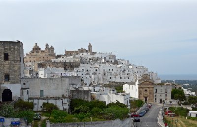P1020157.jpg
