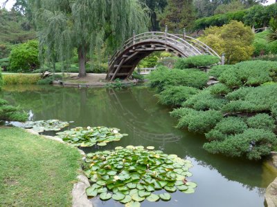 Huntington Botanical Gardens