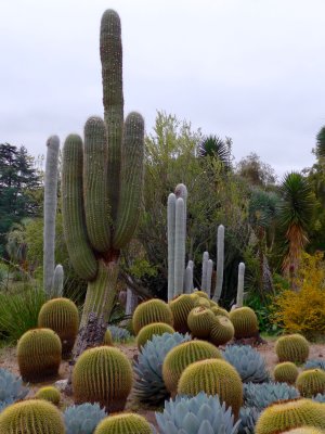 Huntington Botanical Gardens