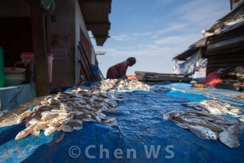 Fish market