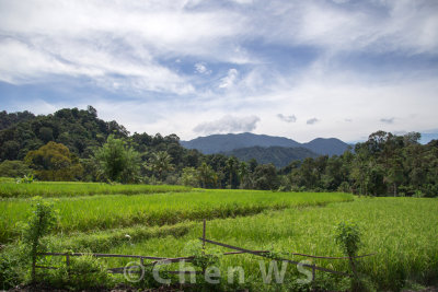 Village scene in Padang