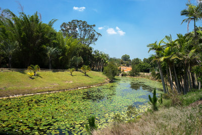 Landscaped park at Australia Zoo.