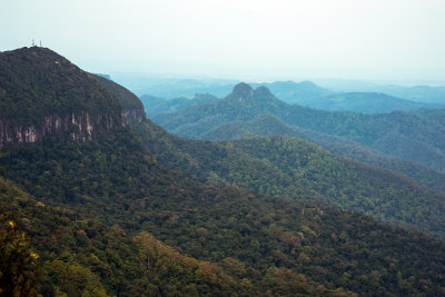 Look out at Springbrook National Park